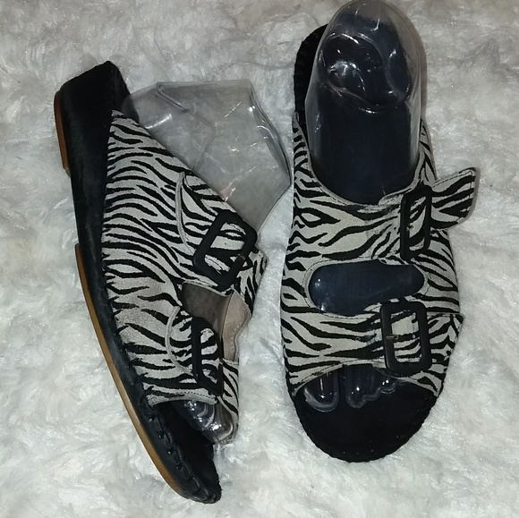 Laplume zebra slides Italy - Picture 2 of 6